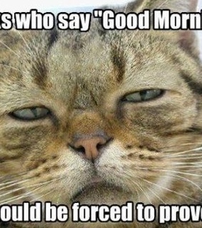 Good Morning Funny Images, Good Morning Funny Pics and Good Morning Funny Pictures
