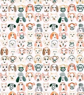 :3, beautiful and bulldog