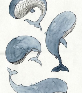 animal, art and cute