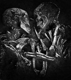 b & w, black & white and black and white