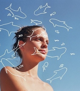 bambi, clean and fresh