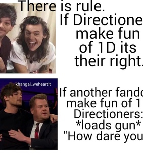 1d, concert and directioner