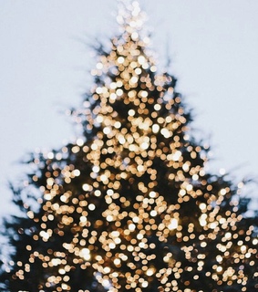 happy, light and merrychristmas