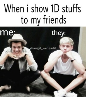 1d, concert and directioner