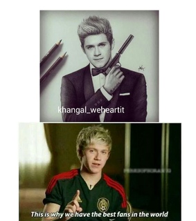 1d, concert and directioner