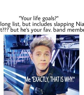 1d, concert and directioner