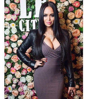 animal, animals and black