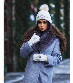 animal, animals and black