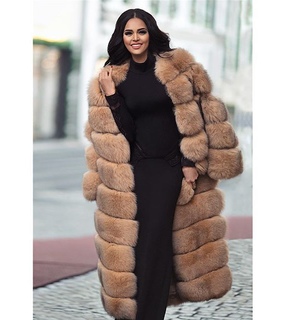 animal, animals and black