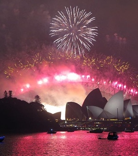 animal, animals and black