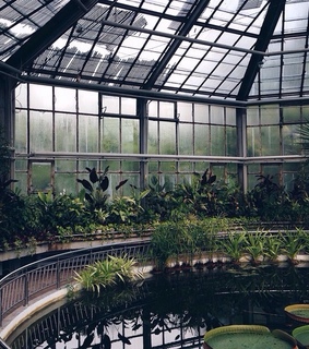 aesthetic, alternative and boho