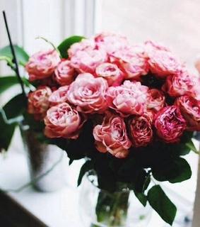 adorable, amazing and beautiful