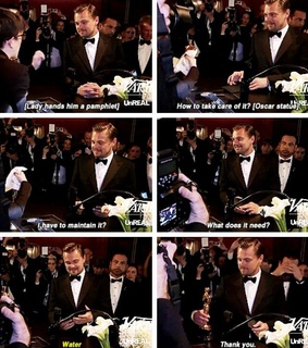 academy awards, babe and cutie