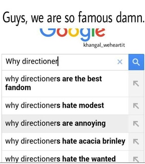 1d, concert and directioner