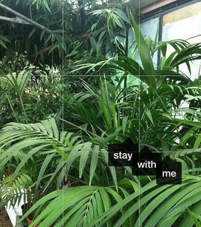 aesthetic, grid and grunge