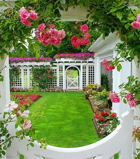 garden, garden gate and house