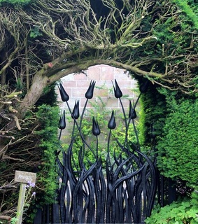 garden, garden gate and house