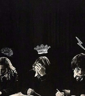 ron, harry and harry potter