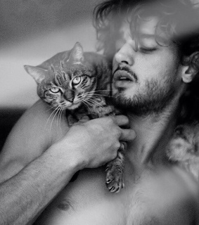 beautiful, kit and man