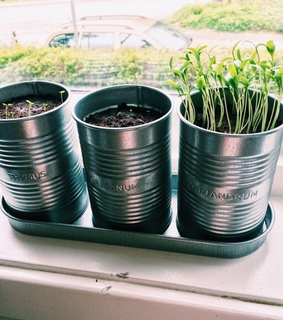 homemade, oregano and spices