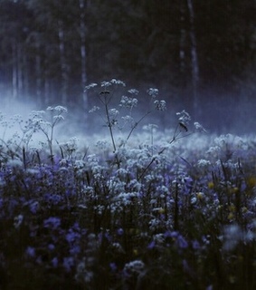 dark, dream and escape