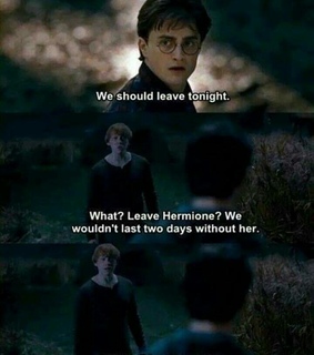 forest, harry and harry potter