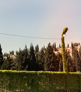 chained, green and slave