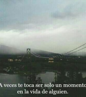 frase, love and tumblr