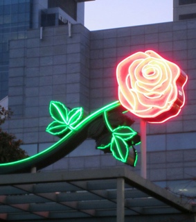 cool, flowers and hipster