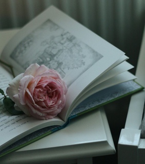 beautiful, book and goodday