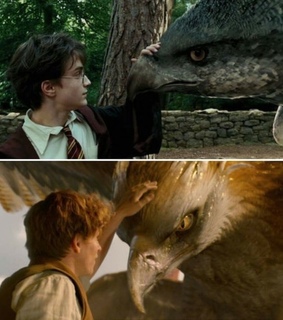 beasts, harry potter and movie