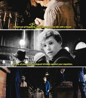 beasts, fantastic and harry