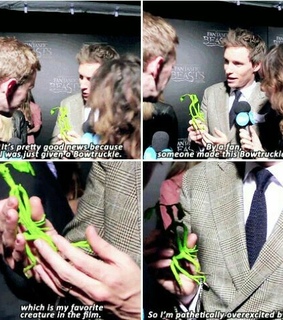 beasts, fantastic and harry