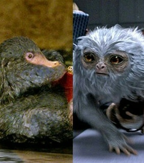 beasts, fantastic and harry