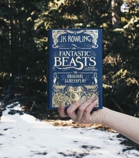 book, fan and fangirl