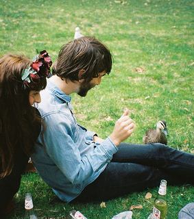 beer, beverage and birds