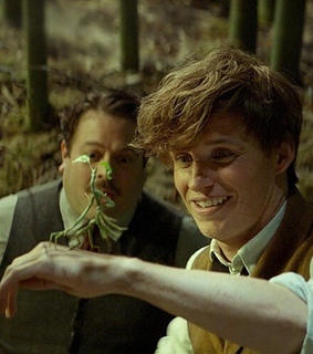 always, beasts and fantastic