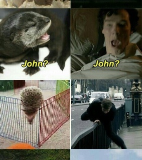 bbc, benedict and cumberbatch