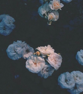 aesthetic, alternative and flower