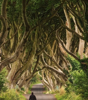 adventure, dream and escape