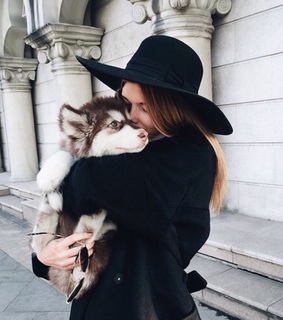 adorable, animals and buny