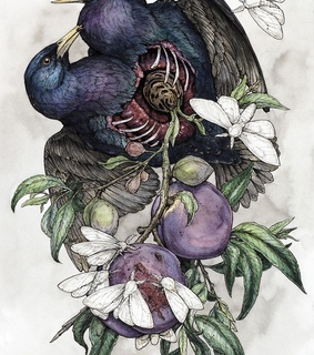 animals, art and beautiful