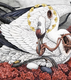 animals, art and beautiful