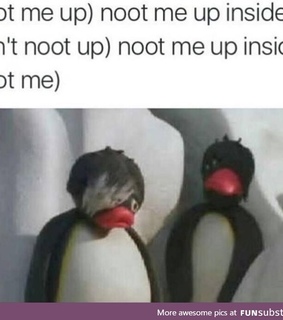 awesome, funny and humor