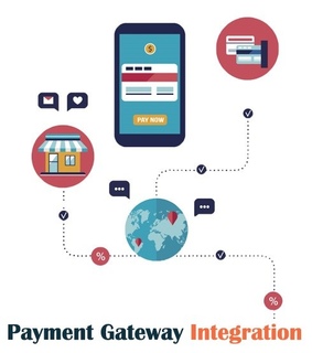 high risk credit card processi, payment gatewaty integration and echeck processsing