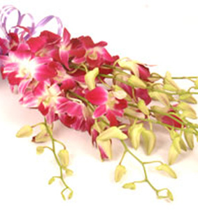 wedding flowers, Cake to India and Send Wedding Flowers