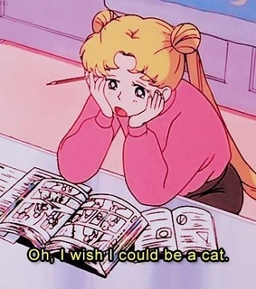 anime girl, study and anime quotes