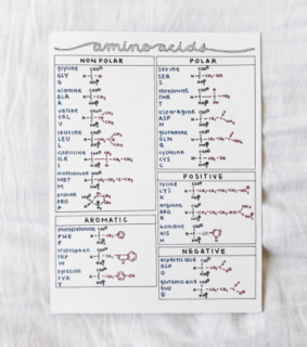 notes, studyspo and study