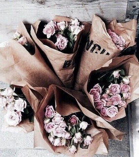 indie, photography and vintage