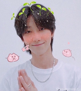 xu minghao, kpop and svt the8